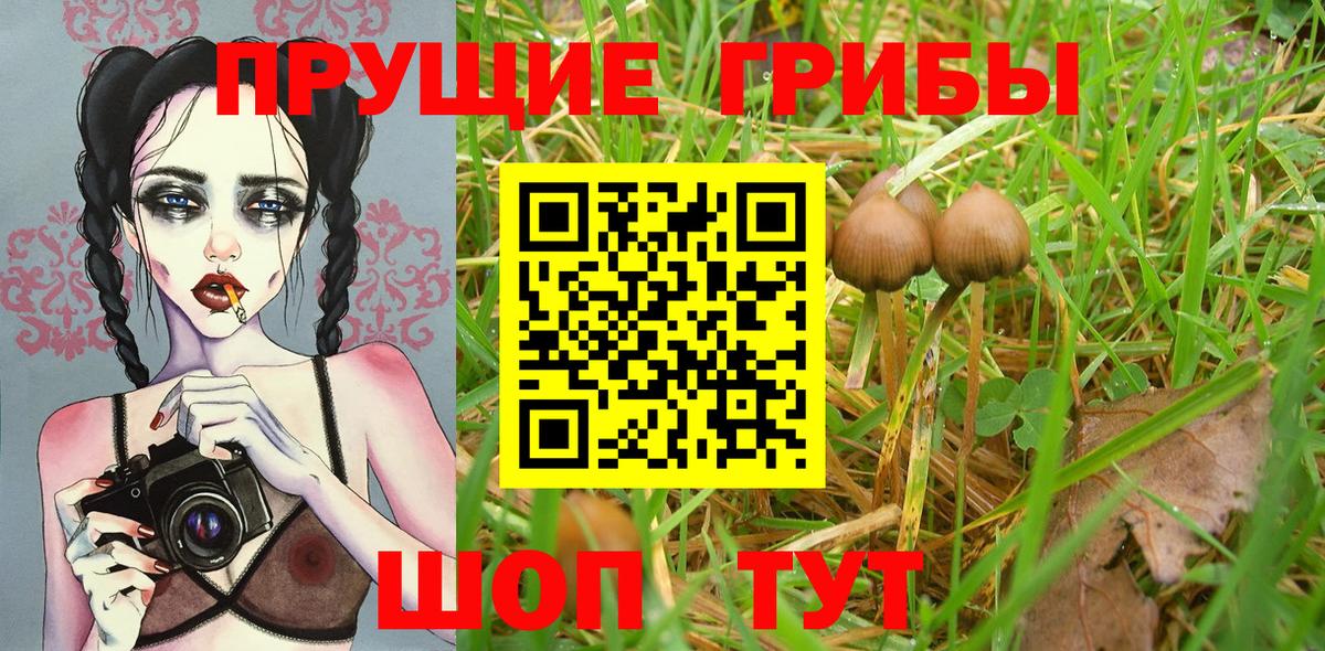 Советская Гавань  Псилоцибиновые грибы мухоморы  купить наркоту  Вход с VPN 