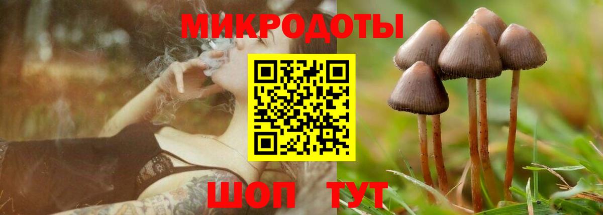Псилоцибиновые грибы Cubensis Советская Гавань